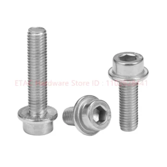 304 Stainless Steel Hex Socket Flange Screw