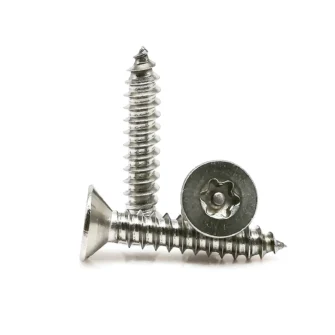 304 Stainless Steel Pin Torx Security Self Tapping Screw